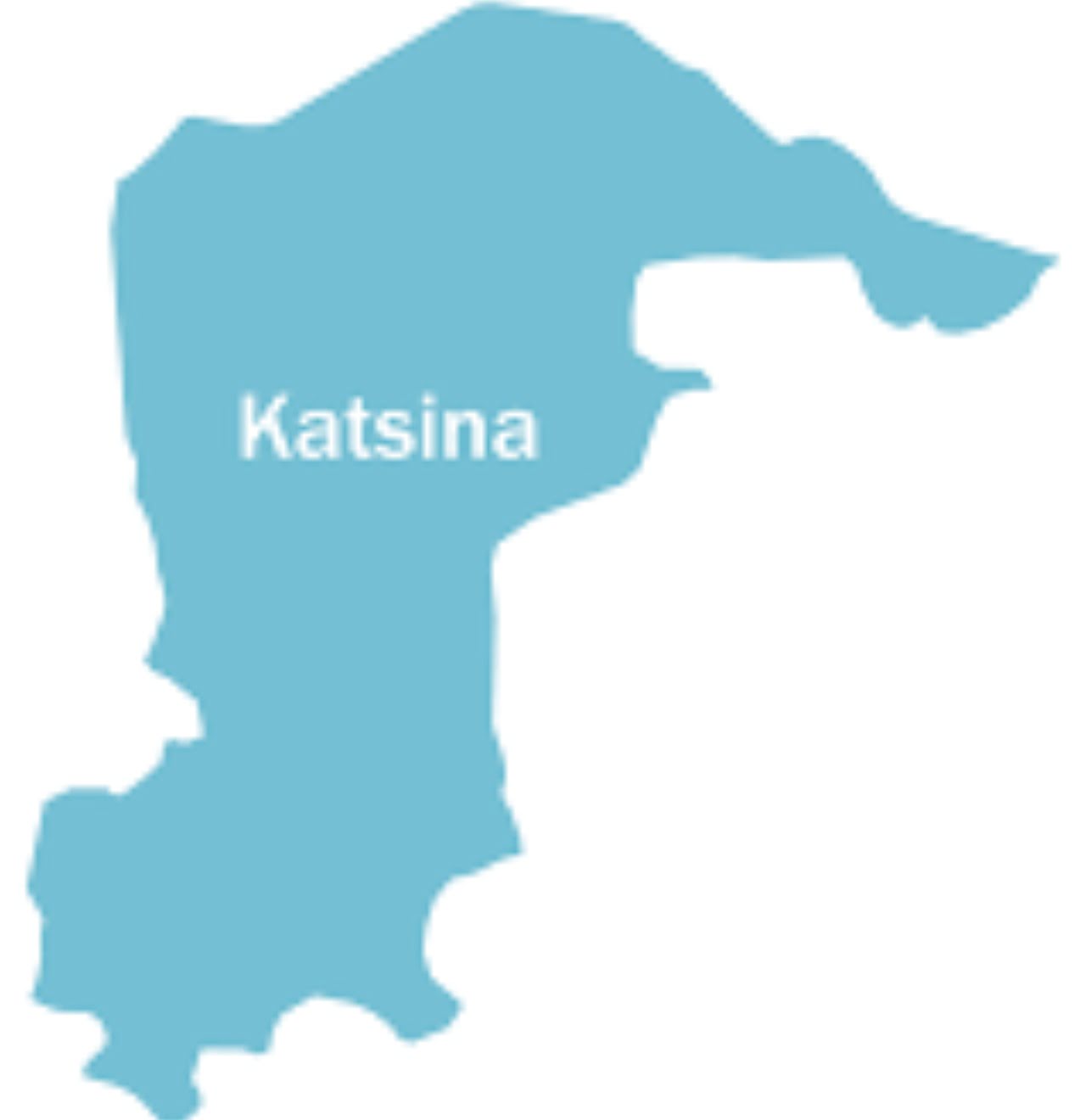 Kidnapped corps members rescued in Army, Police operation in Katsina