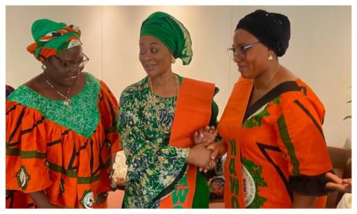 Amosun&#8217;s wife joins forces with NAWOJ to fight GBV in Ogun 4