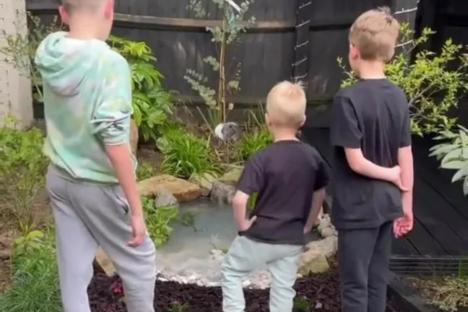 We put a pond in our garden for just £50 – it makes the most of a shady corner and our kids are obsessed with it