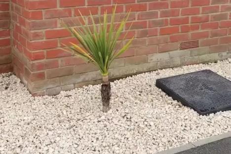 I gave my front garden a quick & easy makeover for just £45 – trolls say it looks ‘awful’ & ‘like a grave’ but I love it