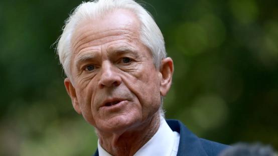 US: Trump’s adviser, Navarro, reacts as Musk calls him ‘moron’