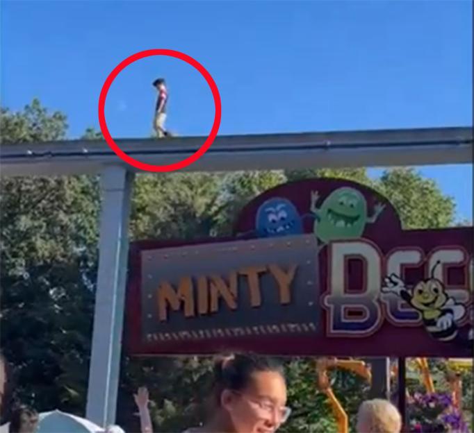 Boy walking on top of a fence near a "Minty Bee" sign.