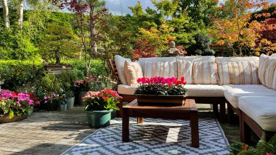 I’m an interior expert – here’s my five tips for creating a Mediterranean garden in time for summer