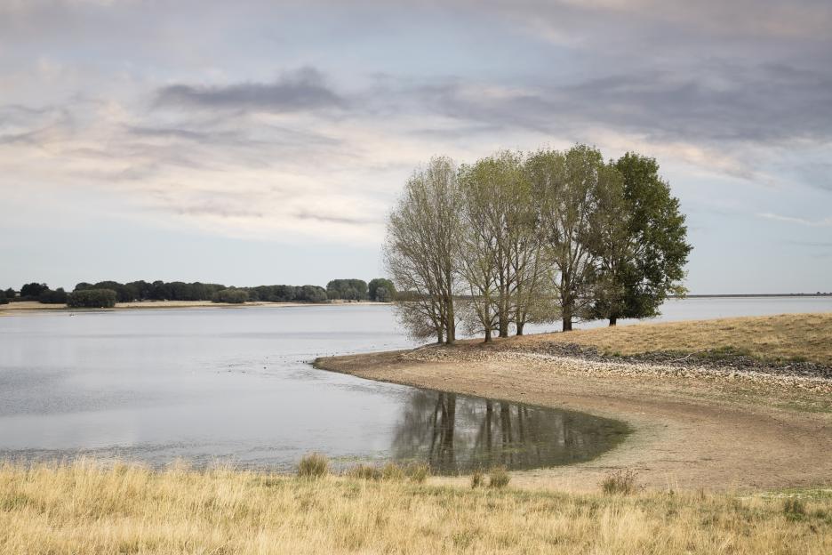 Dry banks of Rutland Water during a long hot summer.