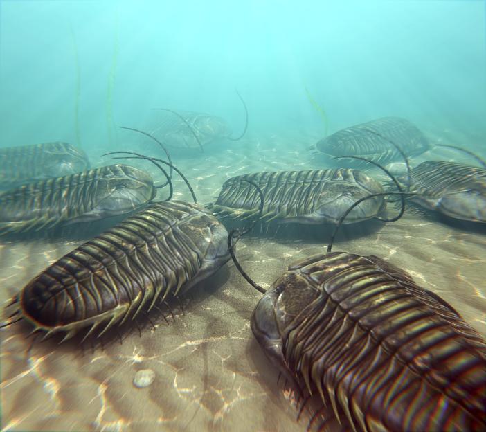 Illustration of trilobites scavenging on the sea bottom.