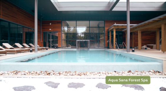 Aqua Sana Forest Spa pool.