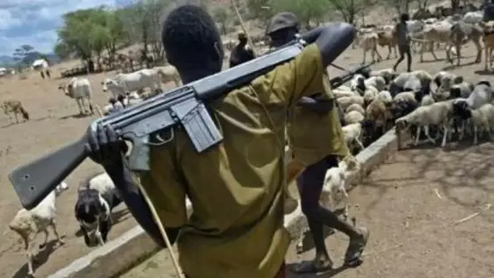 Suspected herdsmen kill man, abduct pregnant wife, sister in Edo