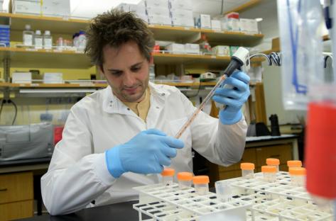 A molecular virologist in a lab coat uses a pipette to transfer liquid into test tubes.