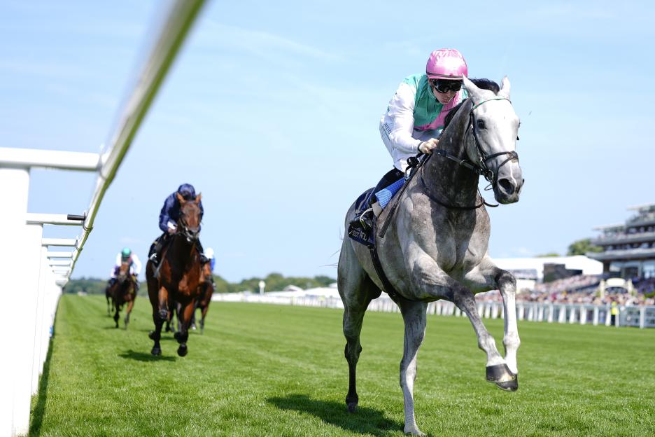 John Gosden Reveals His Top Three Stars, Including Field Of Gold, Ready for Champions Day at Ascot!