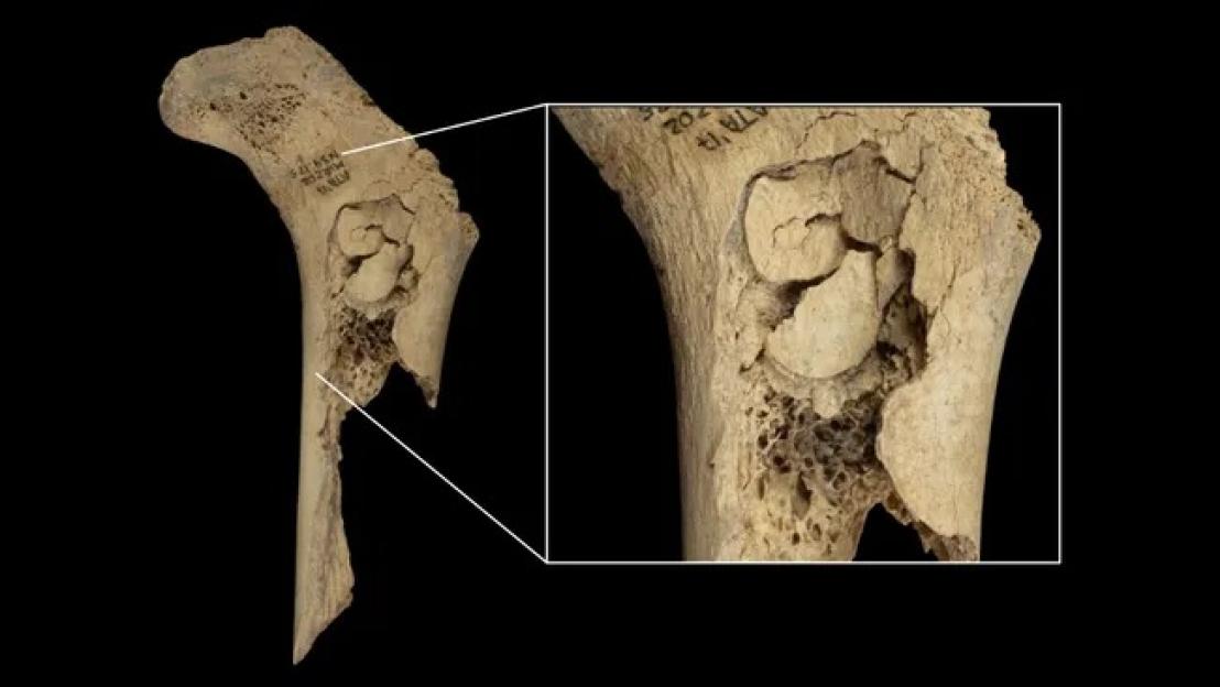Cannibalized human remains from El Mirador cave.