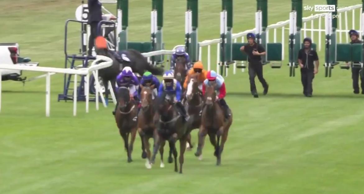 Horse race underway.
