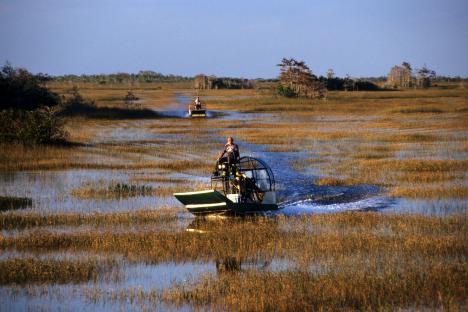 Two airboats in the Everglades.