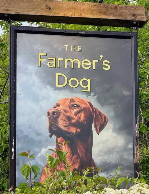 Jeremy Clarkson’s major change at Farmer’s Dog pub after customers tries £50,000 poison scam