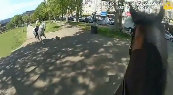 Screenshot of a police officer on horseback riding down a path.