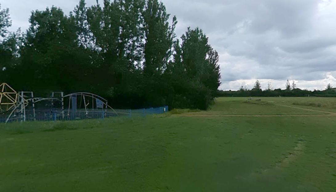 Three-Year-Old Girl Left with 'Severe Injuries' After Terrifying Dog Attack in London Park as Owner Escapes