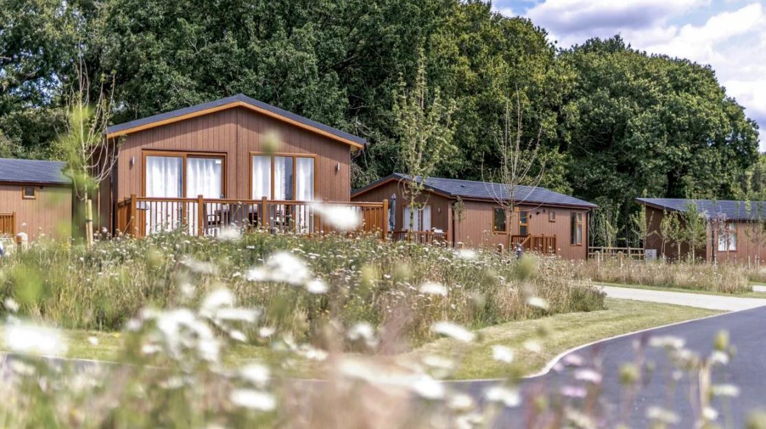 English holiday park in ancient woodland reveals new expansion plans with more lodges plus pool and spa