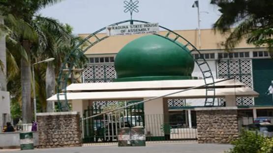 Kaduna Assembly approves creation of mental health services department