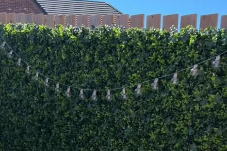 I turned my garden into a leafy oasis with a cheap buy from B&M – now I’ve got more privacy & people say it ‘looks lush’