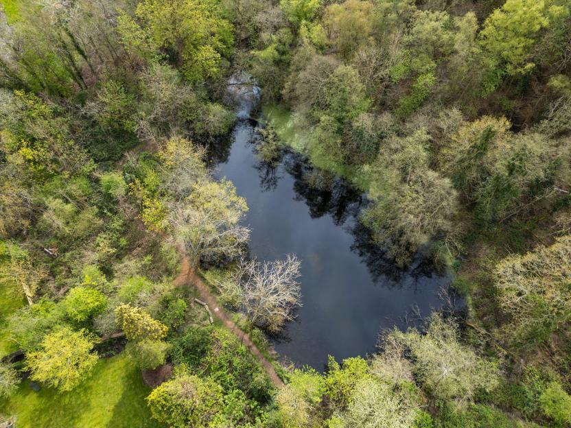 Aerial view of the pond in the C S Lewis Nature Reserve.