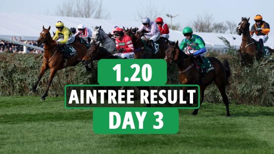 1.20 Aintree 2025 result – day 3: Who won the Handicap Hurdle? How every horse finished at Grand National Festival