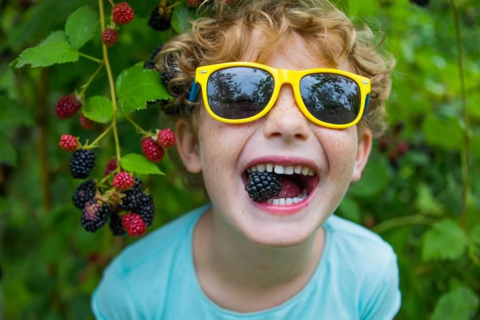 A £1.50 Primark buy is a lifesaver for the summer holidays – it stops the kids moaning for snacks every 15 minutes