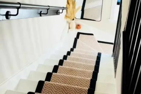 My home is so ‘stunning’ folk can’t believe it’s council – people say my hallway is ‘perfect’, I used Amazon & B&Q buys