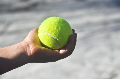 A child's hand holding a tennis ball.