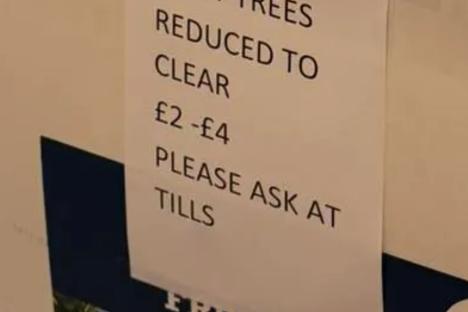 Gardeners race to B&M for £2 plant that will instantly transform your outside space & last for years 