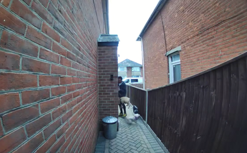 Person walking two dogs down a brick alleyway.
