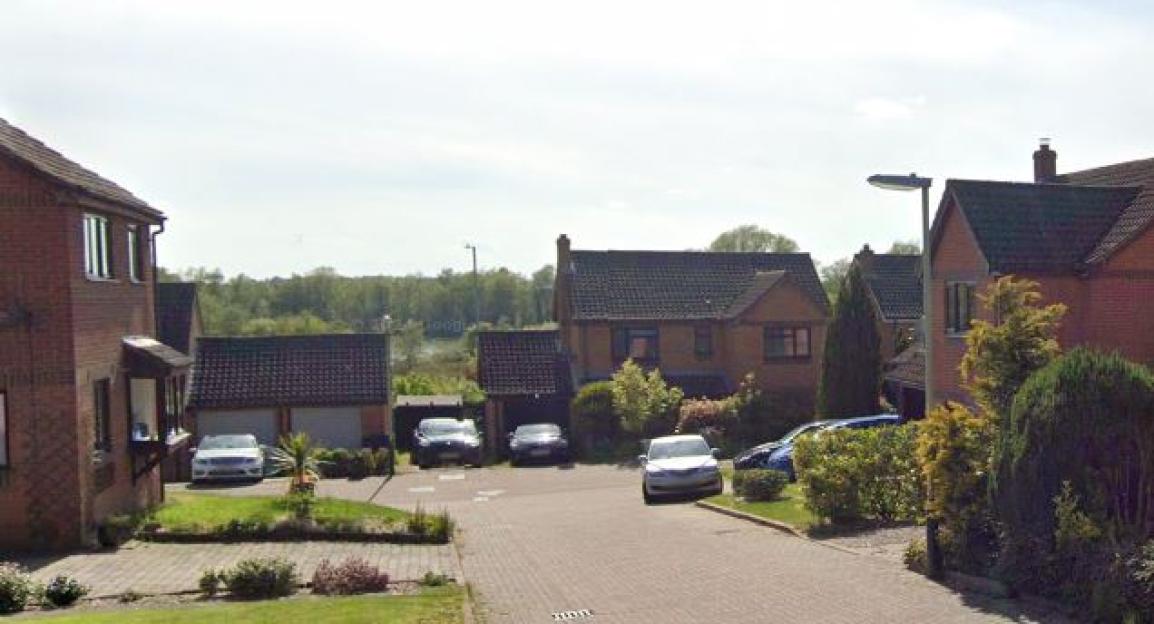 Residential street with houses and cars, with a body of water and trees in the background.
