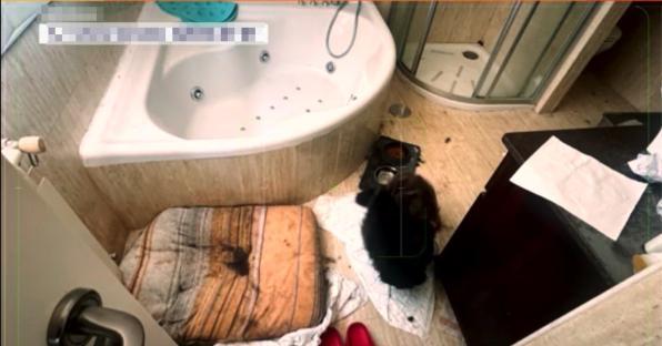 Photo of a dirty bathroom with a dog and soiled pet bed.