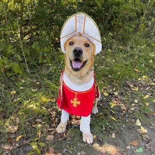 Dog dressed as the Pope.