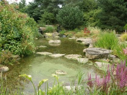 Pond in a garden center with rocks and plants.