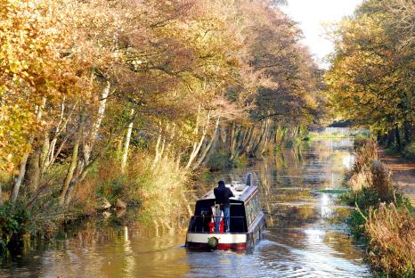 Narrowboat on the Basingstoke Canal.