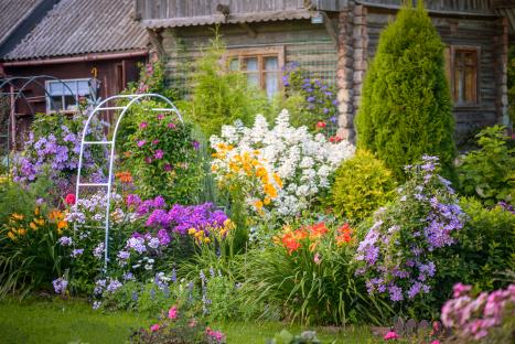 Garden pro’s £3.99 fast-growing flower from Lidl blooms all summer & brings ‘romance’ to your outside space
