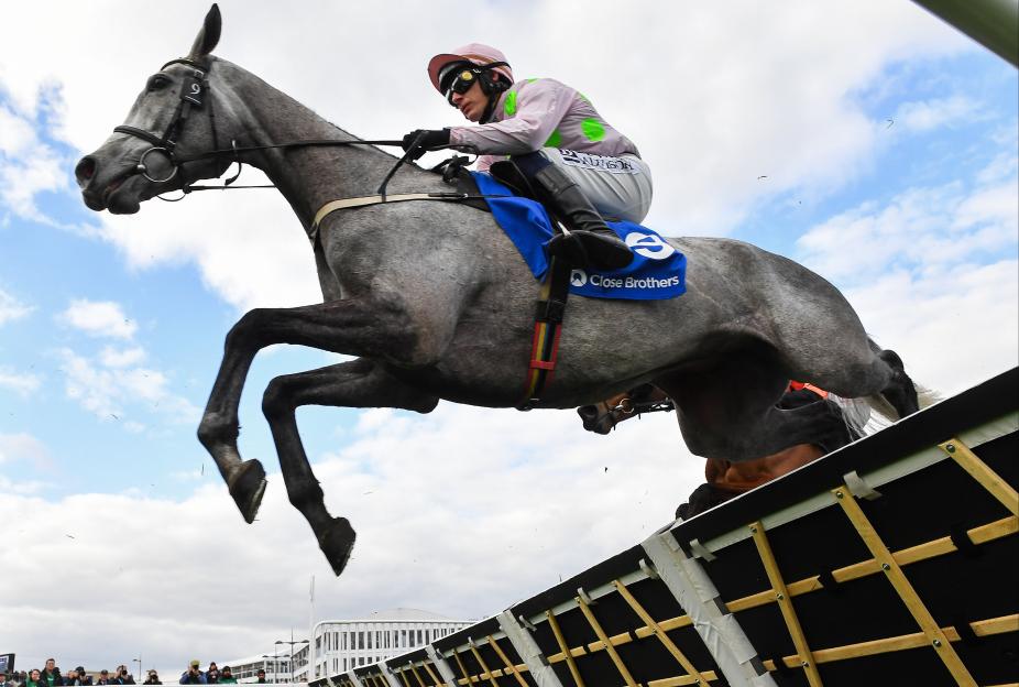 Horse and jockey clearing a hurdle during a race.