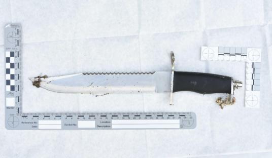 Knife used in Mikey Roynon death investigation.