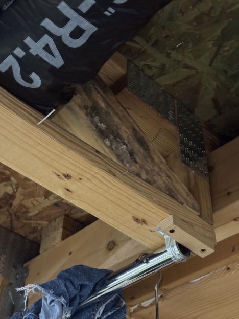 Mold on wooden beam in new house.