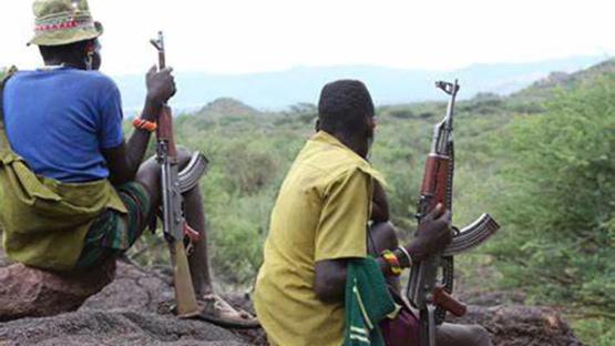 Armed bandits attack Benue community, injure residents, loot property