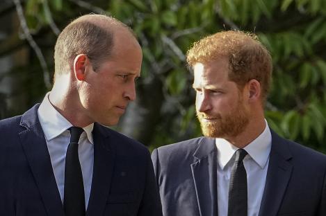 Prince William and Prince Harry side-by-side.