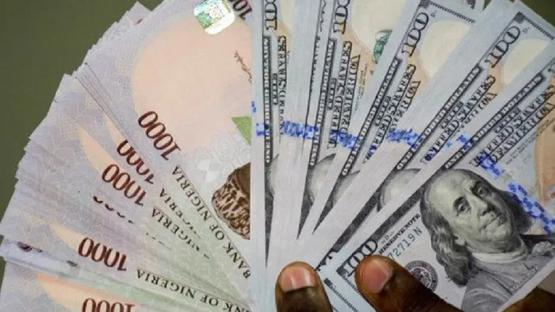 Naira records gain against dollar first time since Trump tariff