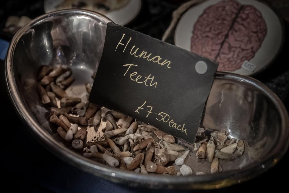 Human teeth for sale at a flea market.