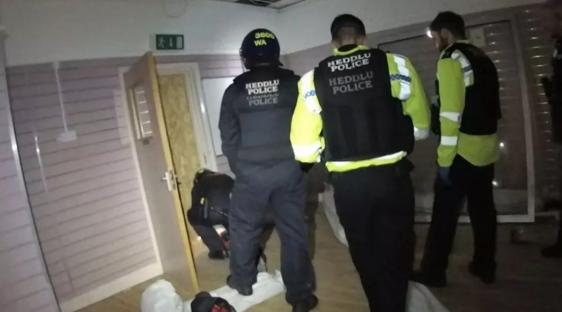 Police officers seizing cannabis plants during a drug bust.