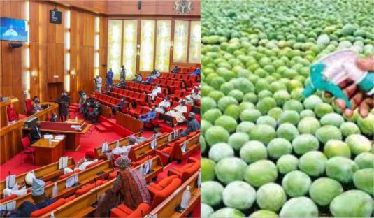 Nigerian Senate to criminalise ripening of fruits with chemicals