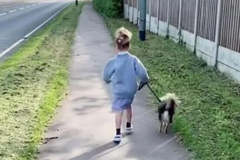 I’m trolled for begging strangers to help pay my £800 car repairs… but it’s a 55 minute walk to my kids’ school