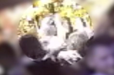 CCTV image of a woman's facial injuries.