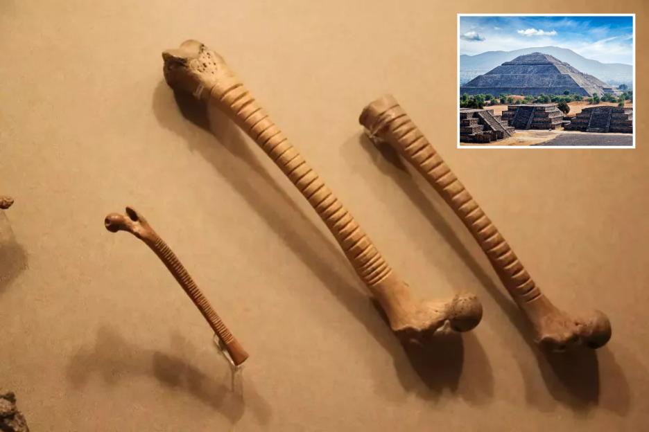 Archaeologists uncover 800-year-old bones with strange details & they offer a surprising insight into Aztec life