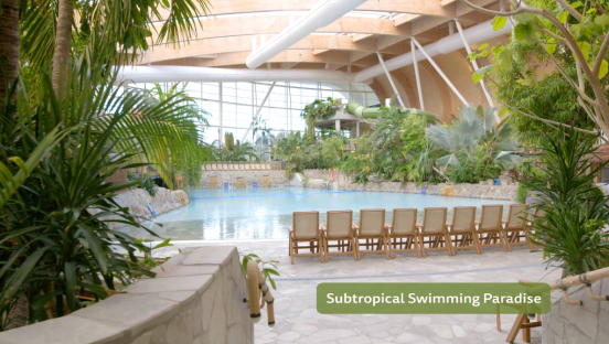 Subtropical swimming paradise with a water slide.