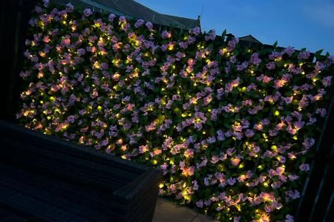 Shoppers race to nab ‘great value’ Home Bargains buy that transforms your fence & lights up gardens for summer evenings