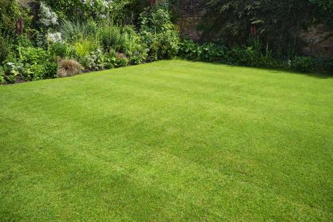 Gardeners urged to sprinkle £1 bathtime favourite on their lawns to help grass grow in time for summer